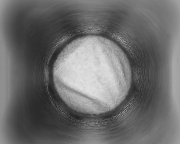 X0000095930679200802081217