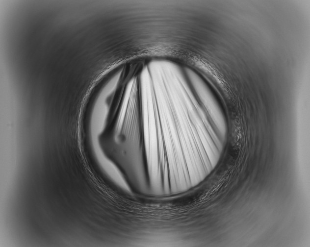 X0000095930680200802081217