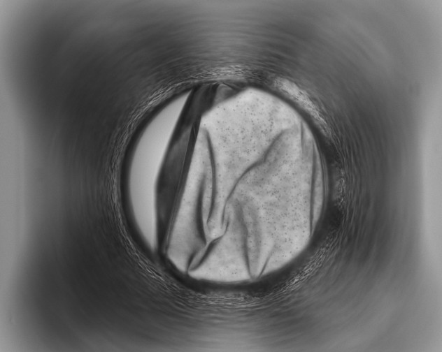 X0000095930681200802081217