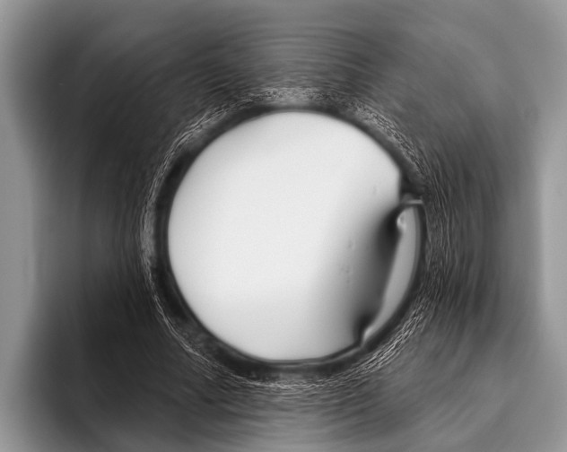 X0000095930682200802081217