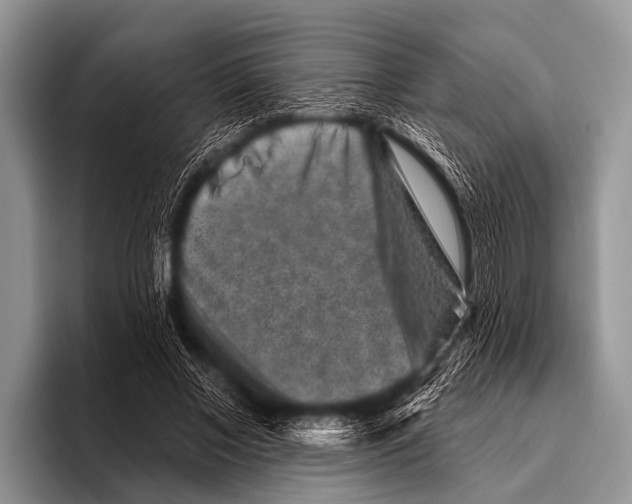 X0000095930685200802081217