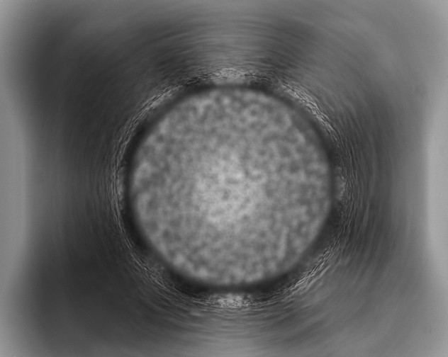 X0000095930687200802081217