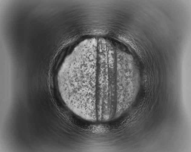 X0000095930688200802081217