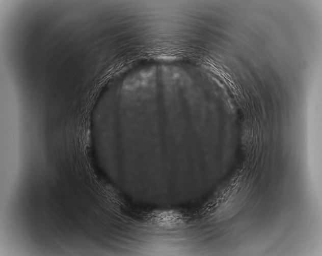 X0000095930689200802081217
