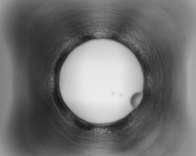 X0000095930690200802081217