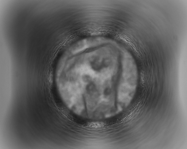 X0000095930691200802081217