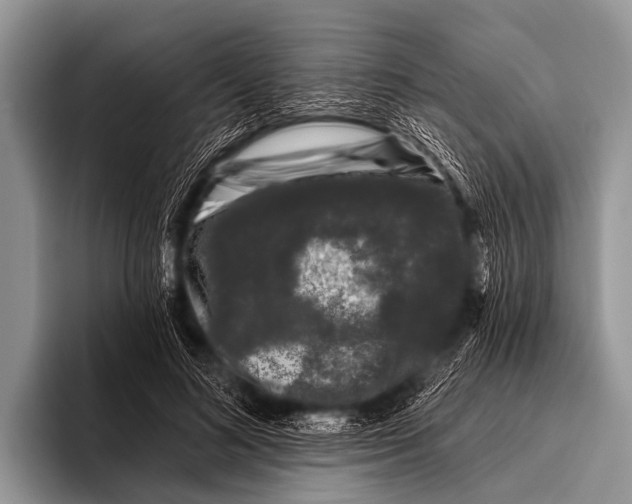 X0000095930692200802081217