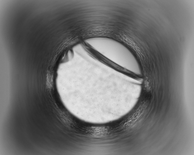 X0000095930693200802081217