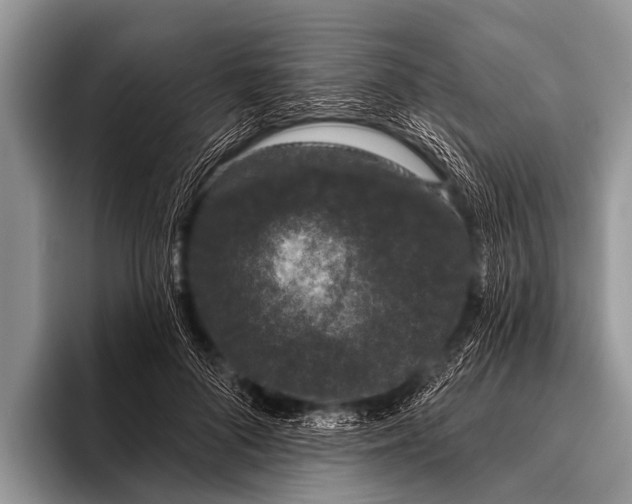 X0000095930696200802081217