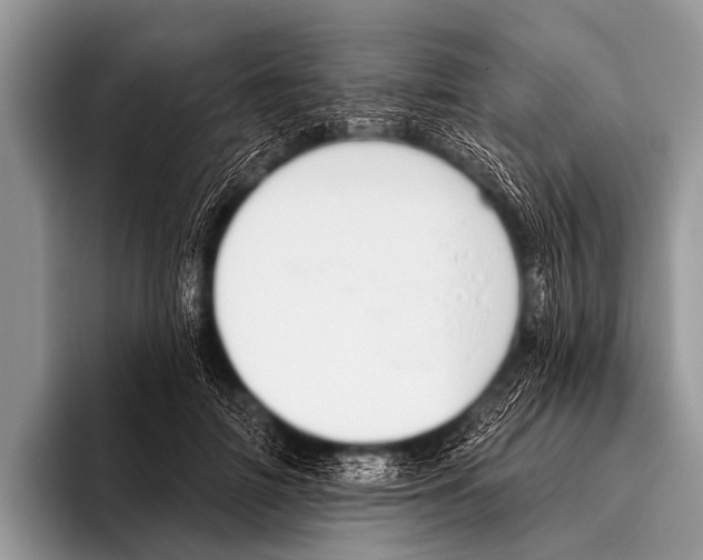 X0000095930698200802081217