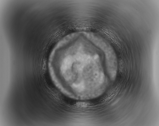 X0000095930699200802081217