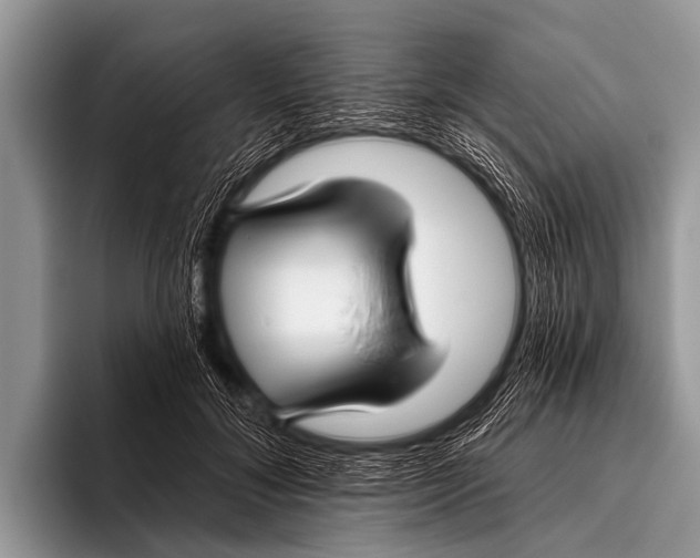 X0000095930700200802081217