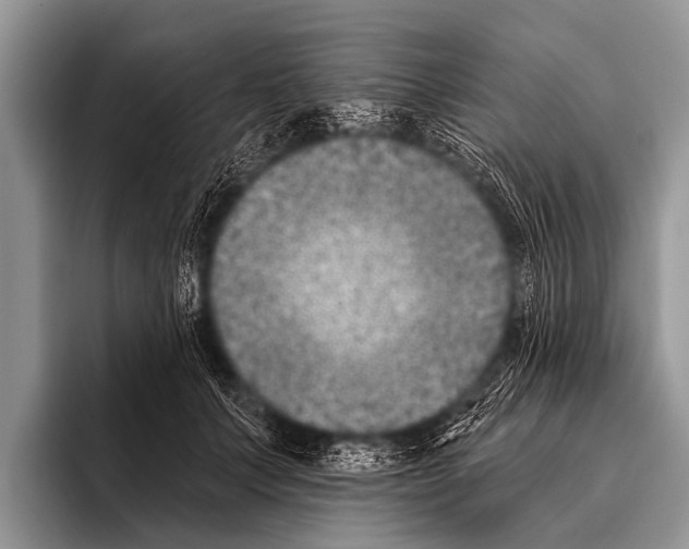X0000095930703200802081217