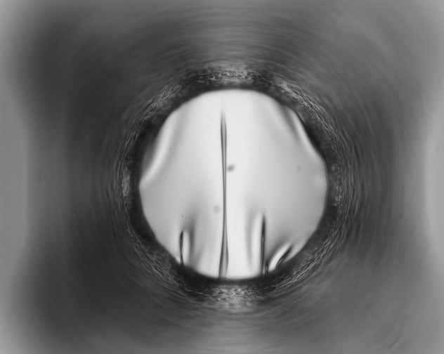 X0000095930704200802081217