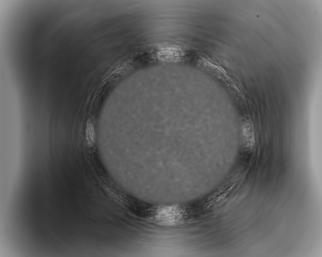 X0000095930705200802081217