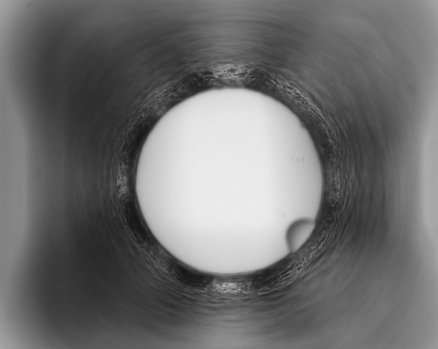 X0000095930706200802081217