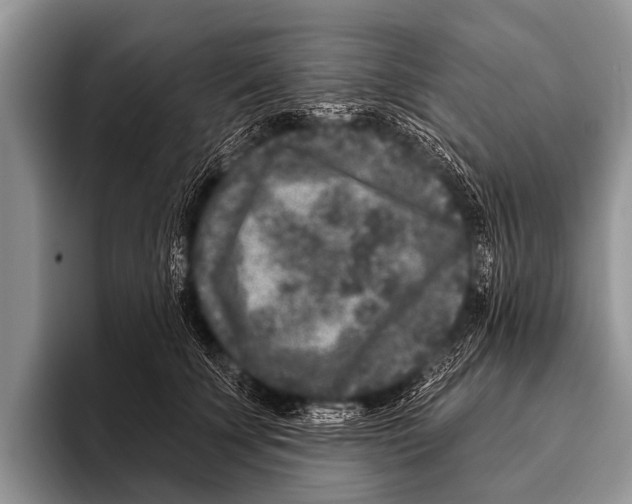 X0000095930707200802081217