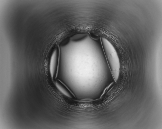 X0000095930708200802081217