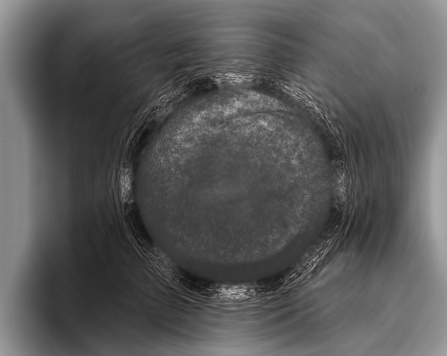 X0000095930709200802081217