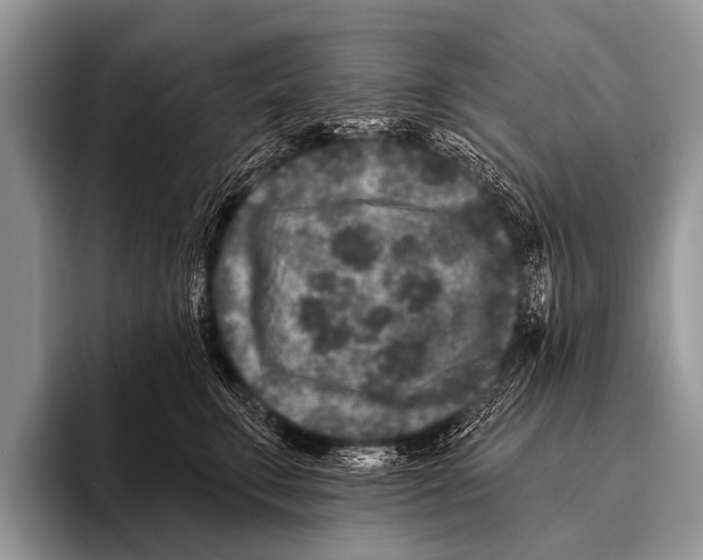 X0000095930711200802081216