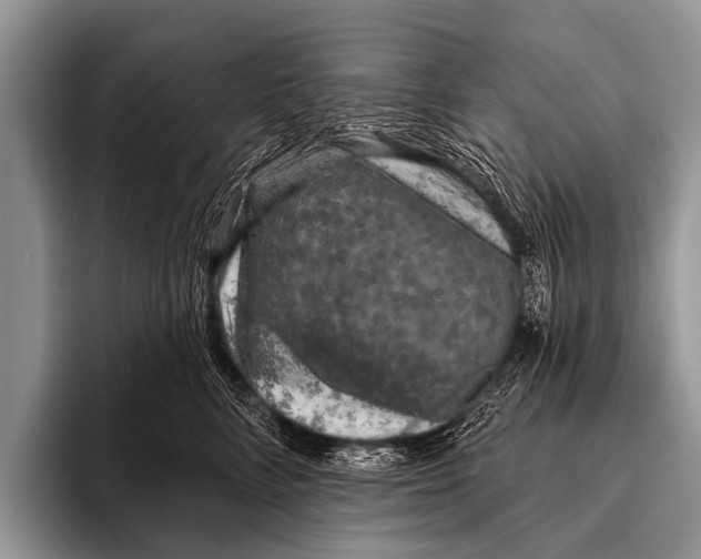 X0000095930712200802081216