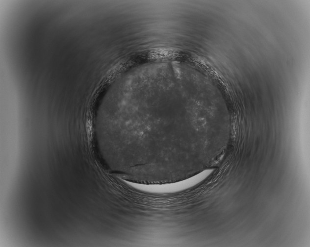 X0000095930716200802081216
