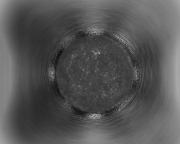 X0000095930718200802081216