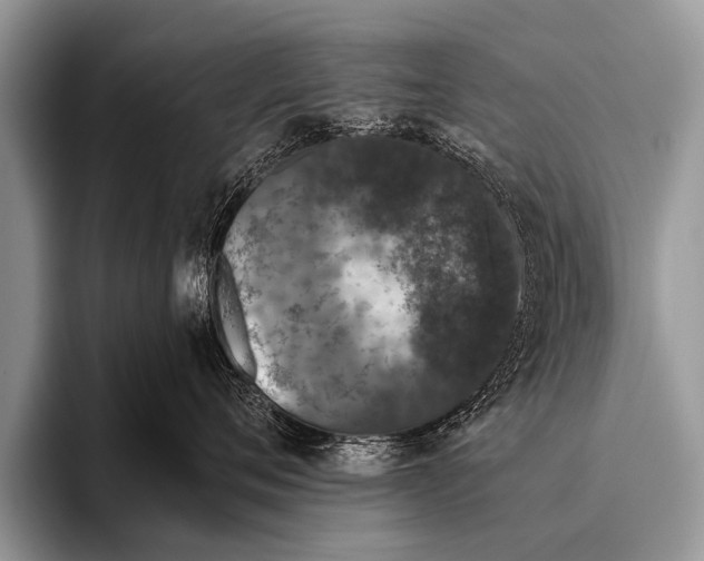 X0000095930720200802081216