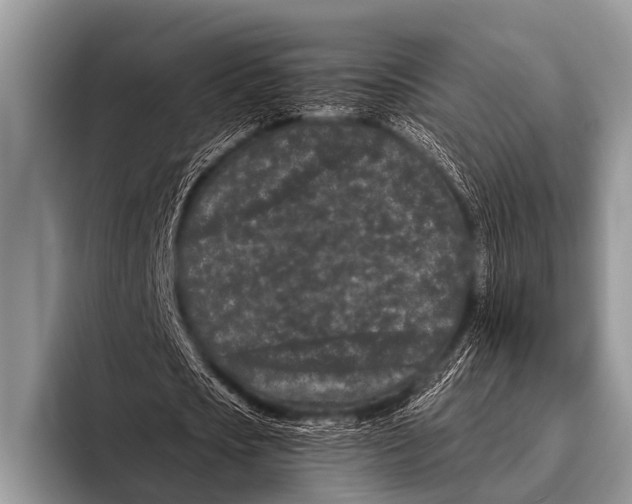 X0000095930721200802081216
