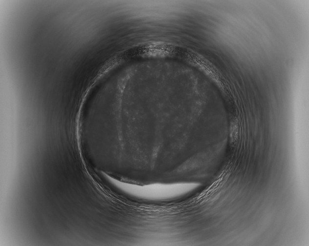 X0000095930722200802081216