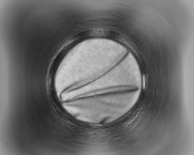 X0000095930723200802081216