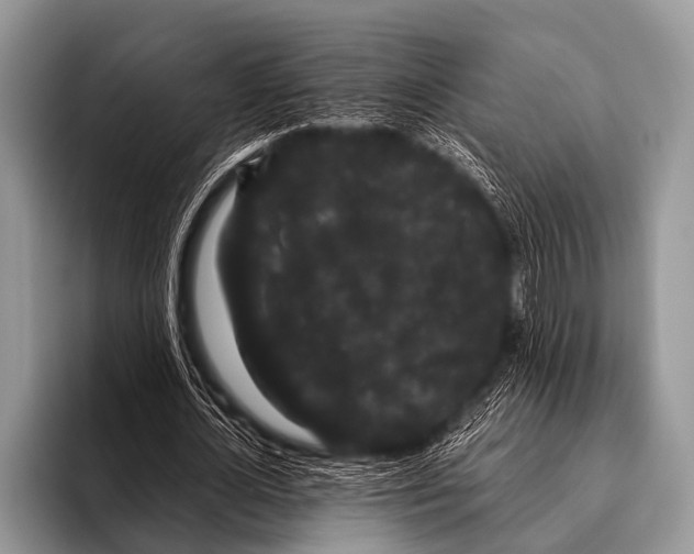 X0000095930724200802081216