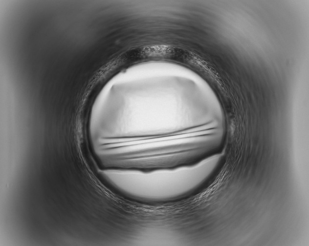 X0000095930725200802081216
