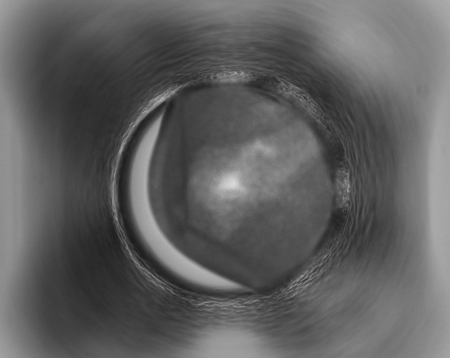 X0000095930726200802081216