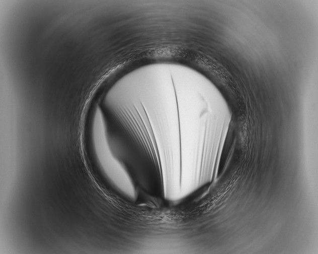 X0000095930728200802081216