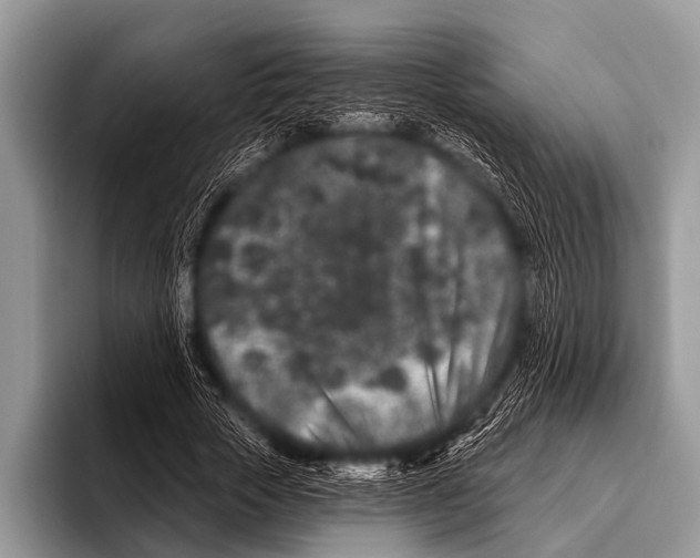 X0000095930729200802081216