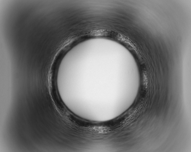 X0000095930730200802081216