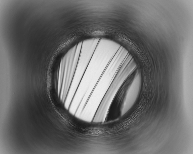 X0000095930732200802081216