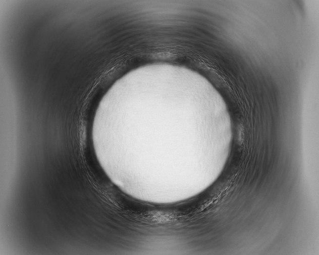 X0000095930733200802081216