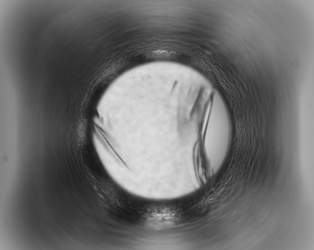 X0000095930735200802081216