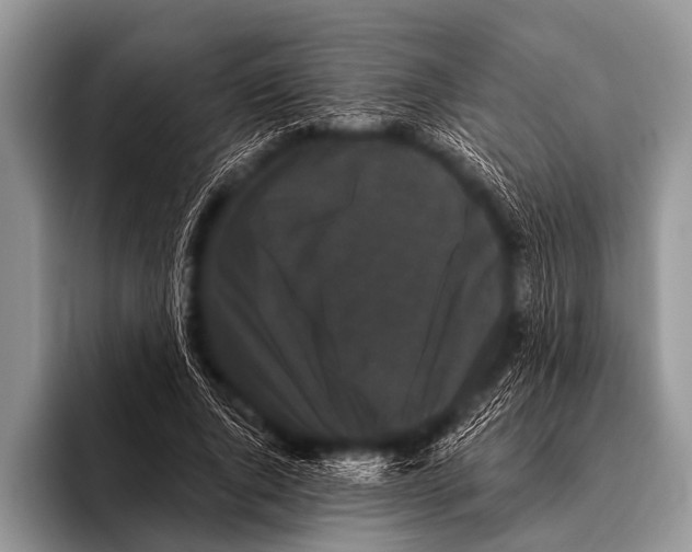 X0000095930736200802081216