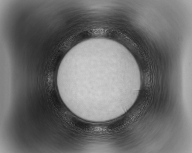 X0000095930737200802081216