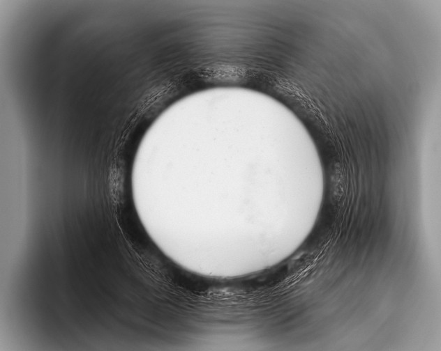 X0000095930739200802081216
