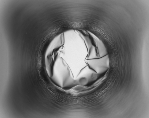 X0000095930740200802081216