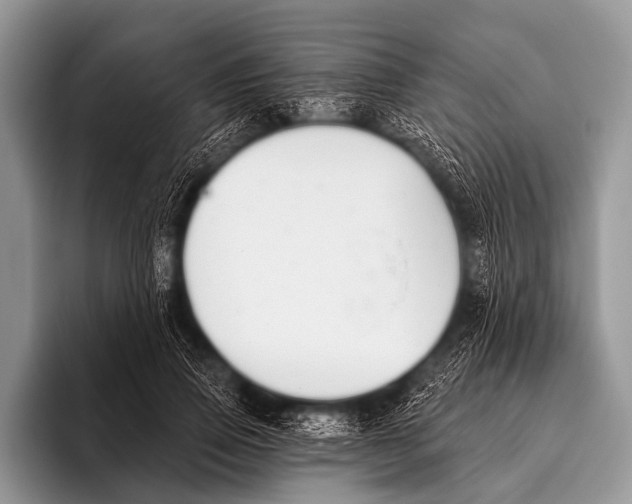 X0000095930741200802081216