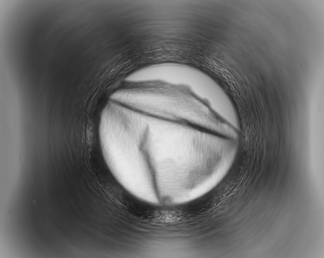 X0000095930745200802081216