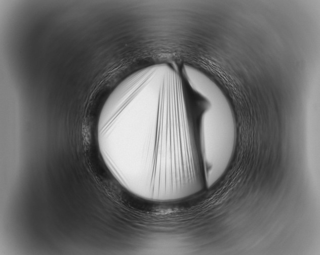 X0000095930746200802081216