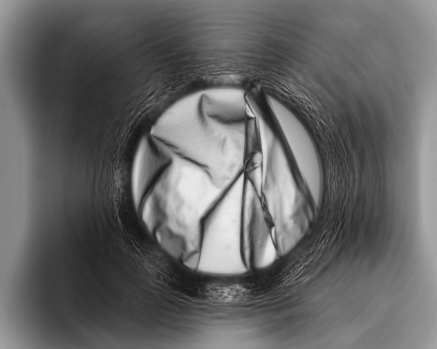 X0000095930747200802081216