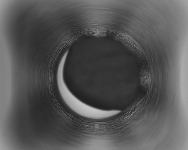 X0000095930748200802081216