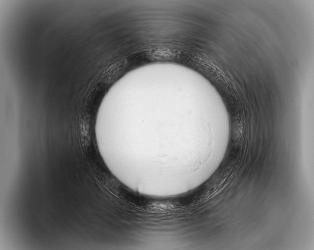 X0000095930749200802081216